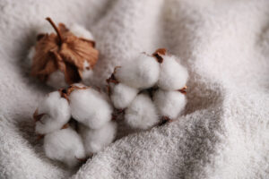 cotton